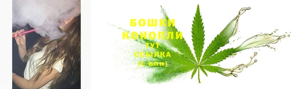 спайс Баксан
