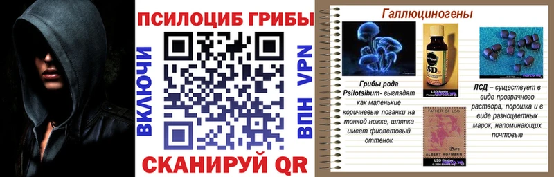 Псилоцибиновые грибы мицелий  MEGA маркетплейс  Шимановск 